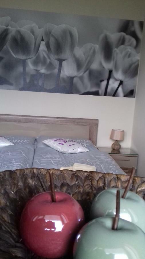 Apartment Provensal Liptovský Mikuláš Buitenkant foto
